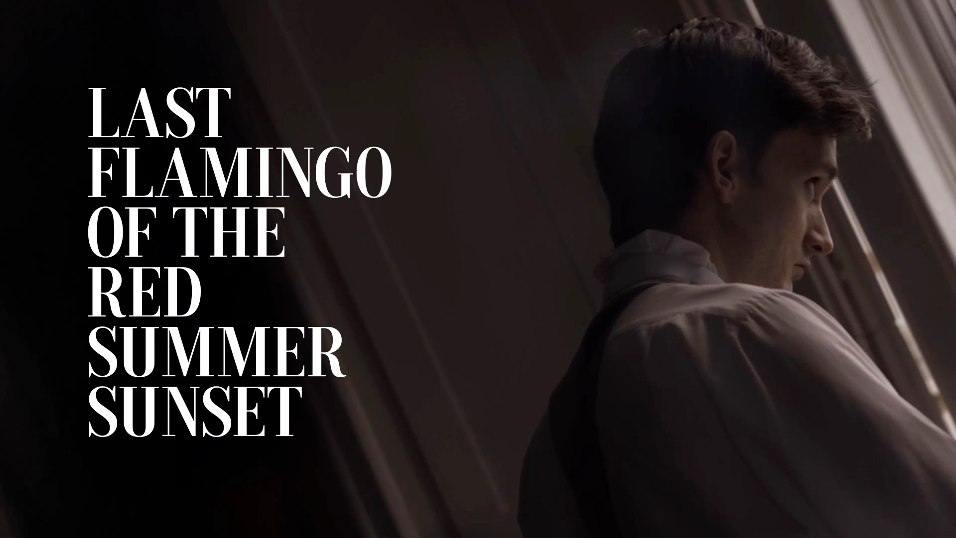 Last Flamingo of the Red Summer Sunset poster